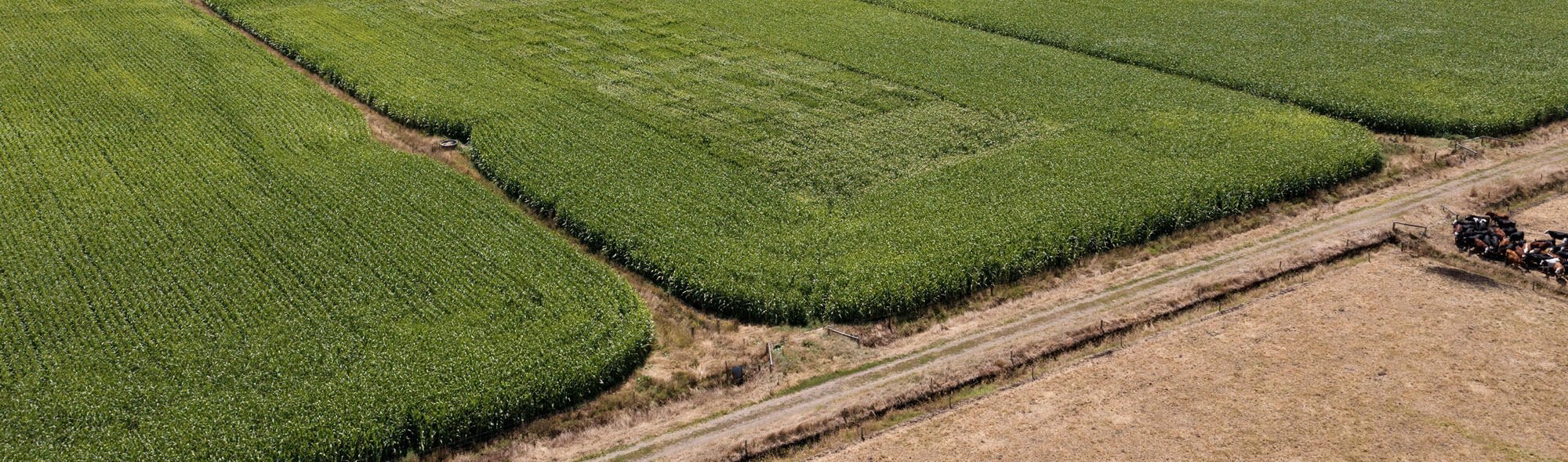 Technical Hub Pioneer Technical Hub Pioneer