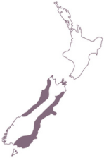 Hybrid Region Map