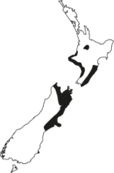 Hybrid Region Map