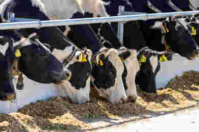 Dry Period Sets The Platform For New Season