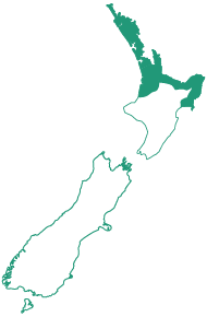 Hybrid Region Map