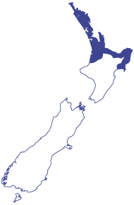 Hybrid Region Map