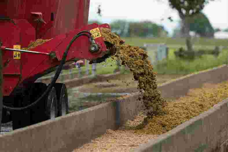 Value of feedpads expands beyond reducing waste