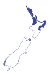 Hybrid Region Map