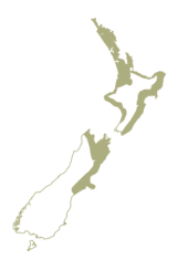 Hybrid Region Map