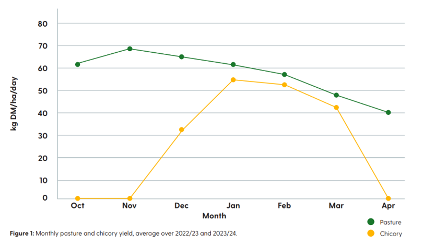 Chicory insight table 2.png