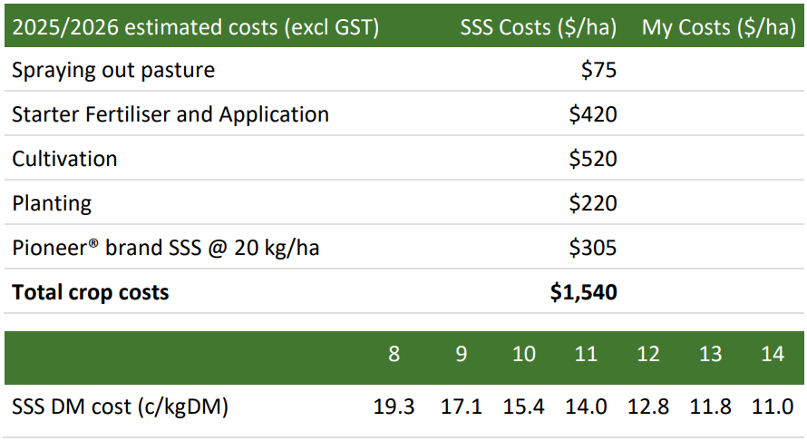 SSS tech insight image.png