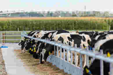 Don’t leave next season’s feed to chance