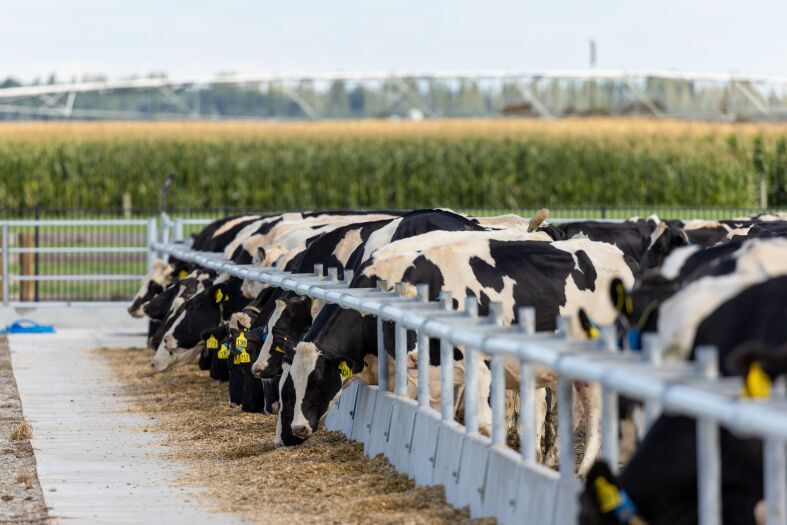 Don’t leave next season’s feed to chance