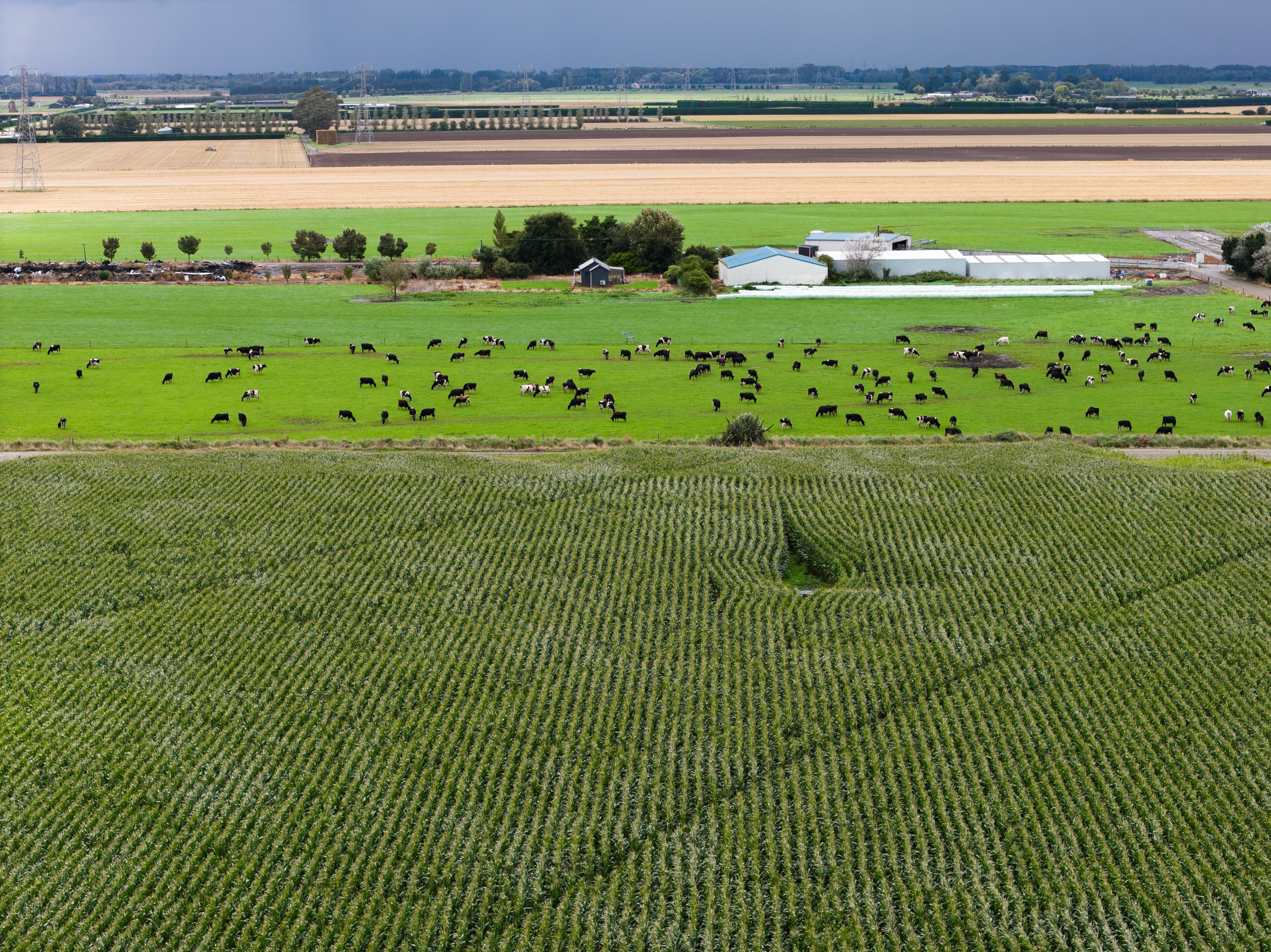 040_Pioneer_Silage_Lyle_Williams_Ashburton_2March2026_3600px.jpg