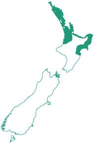 Hybrid Region Map