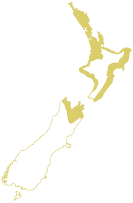 Hybrid Region Map