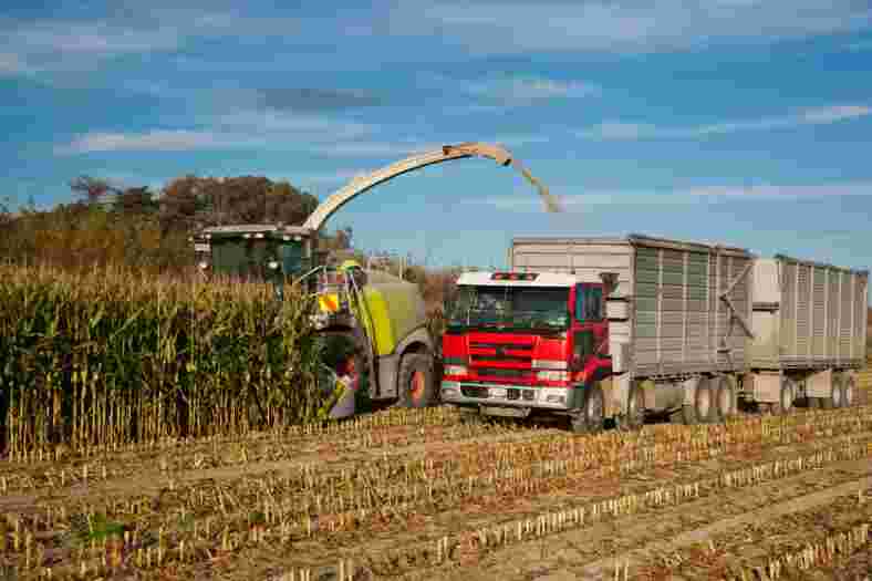 Inoculate your maize silage, choose wisely