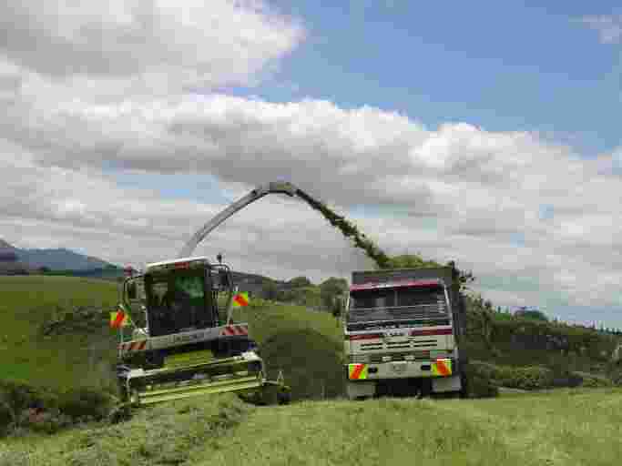 High-quality pasture silage
