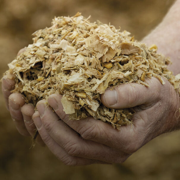 Pioneer Brand Hybrid Seeds & Agricultural Products - Pioneer