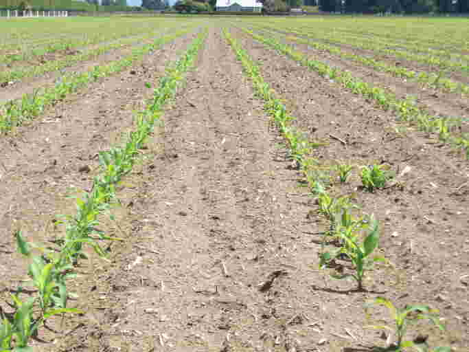 Getting your paddocks ready for planting